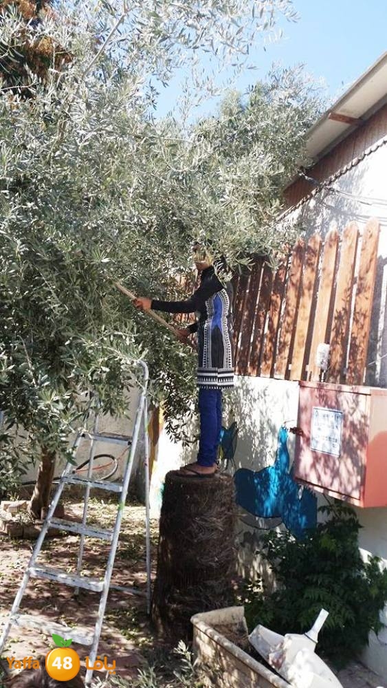 alkeram zatoon3 (15).jpg